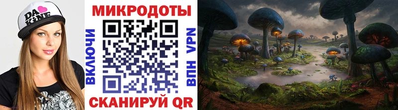 гидра зеркало  закладки  Иланский  Галлюциногенные грибы GOLDEN TEACHER 
