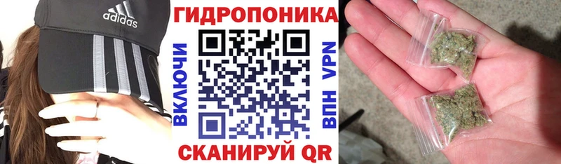 Конопля ГИДРОПОН  МЕГА как войти  Иланский 